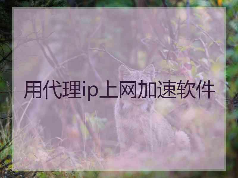 用代理ip上网加速软件